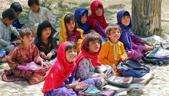 资产管理平台的ddos攻击在哪能买到